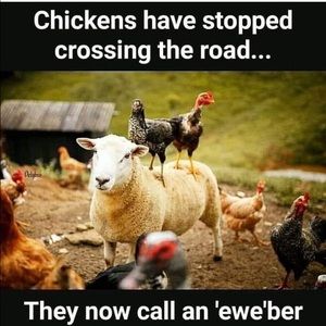 Meet your Posher, WF